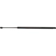 Purchase Top-Quality Lift Support by STRONG ARM - 7091 pa2