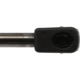 Purchase Top-Quality Lift Support by STRONG ARM - 7091 pa3