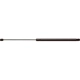 Purchase Top-Quality Lift Support by STRONG ARM - 7091 pa4
