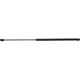 Purchase Top-Quality Lift Support by STRONG ARM - 7170 pa1