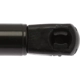 Purchase Top-Quality Lift Support by STRONG ARM - 7170 pa2