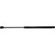 Purchase Top-Quality Lift Support by STRONG ARM - 7310 pa1