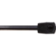 Purchase Top-Quality Lift Support by STRONG ARM - 7310 pa2