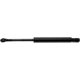 Purchase Top-Quality Lift Support by STRONG ARM - A7415 pa1