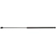 Purchase Top-Quality STRONG ARM - B6454 - Hood Lift Support pa1