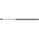 Purchase Top-Quality STRONG ARM - B7123 - Hood Lift Support pa1