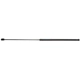 Purchase Top-Quality STRONG ARM - B7150 - Hood Lift Support pa1