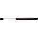 Purchase Top-Quality Lift Support by STRONG ARM - B7351 pa1