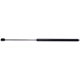 Purchase Top-Quality STRONG ARM - C6006L - Hood Lift Support pa1