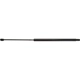 Purchase Top-Quality Lift Support by STRONG ARM - C7014 pa1