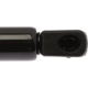 Purchase Top-Quality Lift Support by STRONG ARM - C7014 pa2