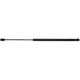 Purchase Top-Quality Lift Support by STRONG ARM - C7073 pa1