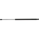Purchase Top-Quality STRONG ARM - C7124 - Liftgate Lift Support pa1