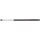 Purchase Top-Quality STRONG ARM - C7131 - Liftgate Lift Support pa1