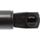 Purchase Top-Quality STRONG ARM - C7131 - Liftgate Lift Support pa2