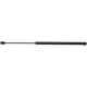 Purchase Top-Quality STRONG ARM - C7134 - Trunk Lid Lift Support pa1