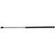 Purchase Top-Quality STRONG ARM - C7174 - Hood Lift Support pa1