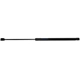 Purchase Top-Quality STRONG ARM - C7212 - Lift Support pa1
