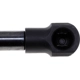 Purchase Top-Quality Lift Support by STRONG ARM - C7314L pa2