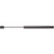 Purchase Top-Quality Lift Support by STRONG ARM - C7344 pa1
