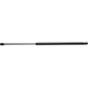Purchase Top-Quality Lift Support by STRONG ARM - C7361 pa1