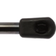 Purchase Top-Quality Lift Support by STRONG ARM - C7361 pa2