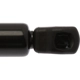 Purchase Top-Quality Lift Support by STRONG ARM - C7361 pa3