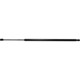 Purchase Top-Quality Lift Support by STRONG ARM - C7399 pa1