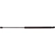 Purchase Top-Quality Lift Support by STRONG ARM - C7408 pa1