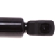 Purchase Top-Quality Lift Support by STRONG ARM - C7408 pa2