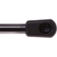 Purchase Top-Quality Lift Support by STRONG ARM - C7408 pa3