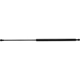 Purchase Top-Quality Lift Support by STRONG ARM - C7418 pa1