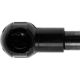 Purchase Top-Quality Lift Support by STRONG ARM - C7418 pa3