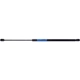 Purchase Top-Quality Lift Support by STRONG ARM - C7429 pa1