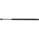Purchase Top-Quality Lift Support by STRONG ARM - C7433 pa1