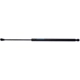 Purchase Top-Quality Lift Support by STRONG ARM - C7442 pa1