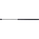 Purchase Top-Quality Lift Support by STRONG ARM - C7444 pa2
