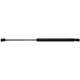 Purchase Top-Quality STRONG ARM - D7143 - Liftgate Lift Support pa1