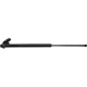 Purchase Top-Quality Lift Support by STRONG ARM - D7331L pa2