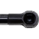 Purchase Top-Quality Lift Support by STRONG ARM - D7331R pa3