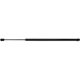 Purchase Top-Quality Lift Support by STRONG ARM - D7350 pa1