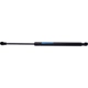 Purchase Top-Quality Lift Support by STRONG ARM - D7353 pa1