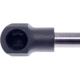 Purchase Top-Quality Lift Support by STRONG ARM - D7353 pa2