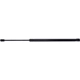 Purchase Top-Quality Lift Support by STRONG ARM - D7365 pa1