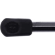 Purchase Top-Quality Lift Support by STRONG ARM - D7400 pa2