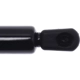 Purchase Top-Quality Lift Support by STRONG ARM - D7400 pa3