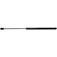 Purchase Top-Quality Lift Support by STRONG ARM - D7403 pa1