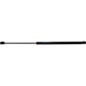 Purchase Top-Quality Lift Support by STRONG ARM - D7416 pa1
