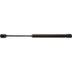 Purchase Top-Quality Lift Support by STRONG ARM - E7159 pa3