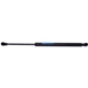 Purchase Top-Quality Lift Support by STRONG ARM - E7316 pa1